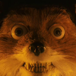 Mr Fantastic Fox